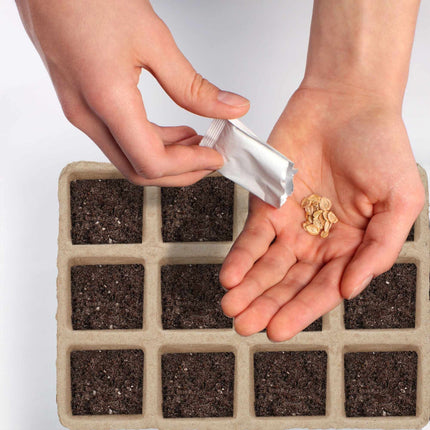 Square fiber pots
