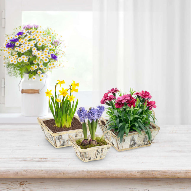 Vierkante bloempot Berk Set van 3