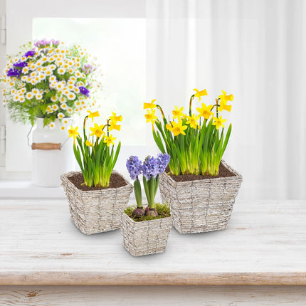 Square flower pot - set of 3