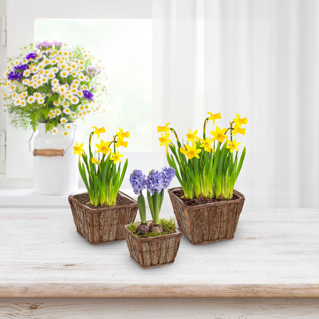 Square wooden flower pot - set of 3