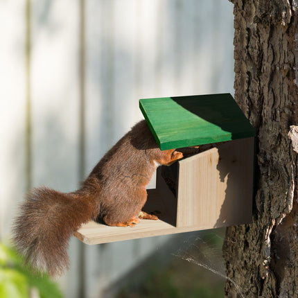 Squirrel feeder Wood