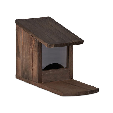Squirrel feeder for placement