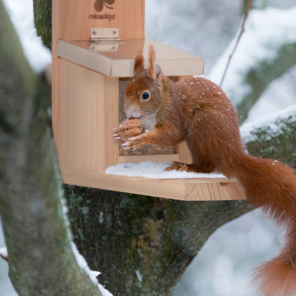 Squirrel feeder with metal roof
