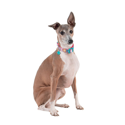 Squishmallows Dog Collar, Small