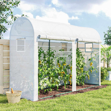 Steel Frame Greenhouse with Windows and Doors, 300x100x200 cm