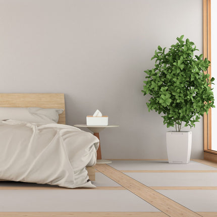 Tissue box with bamboo lid
