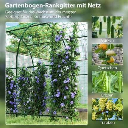 Tomato Trellis Arch, Steel, 216 cm, Dark Green