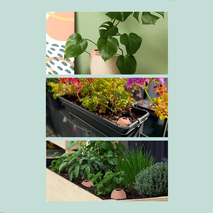 Tonkegel for irrigation in 6-pack