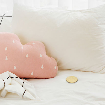 Tooth Fairy coin set of 20
