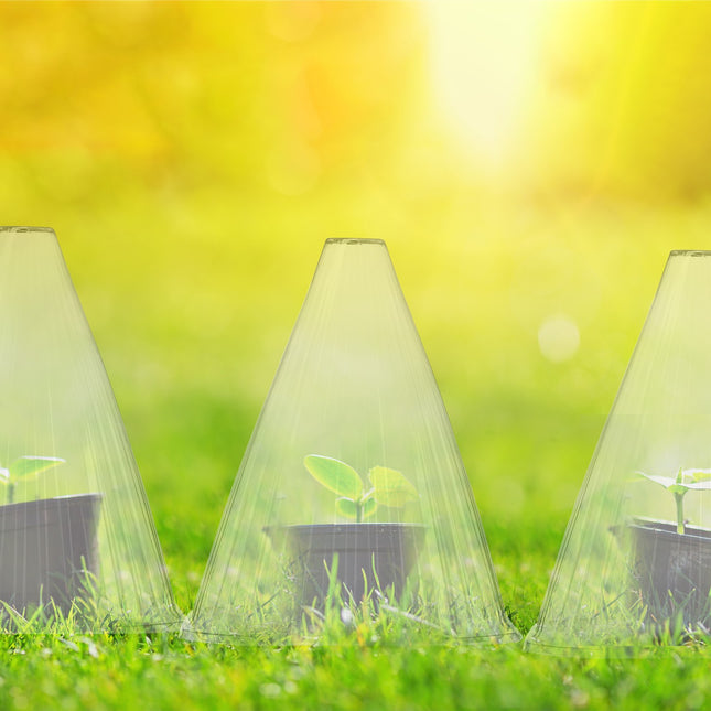Transparent Plant Protection Cones, Set of 80