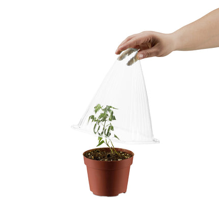Transparent Plant Protection Cones, Set of 80