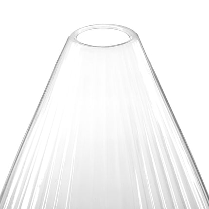 Transparent plant hat 10-pack