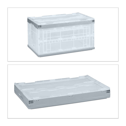 Transparent transport box with lid