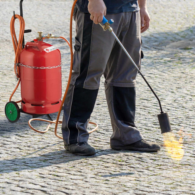 Transport cart for gas cylinder