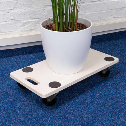 Transport roller