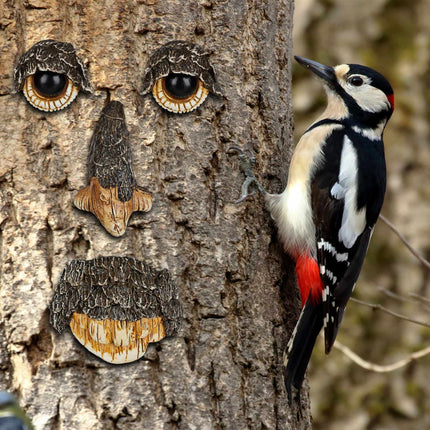 Tree face Nature spirit