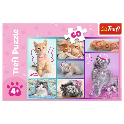 Trefl Puzzle Kittens 60 Pcs