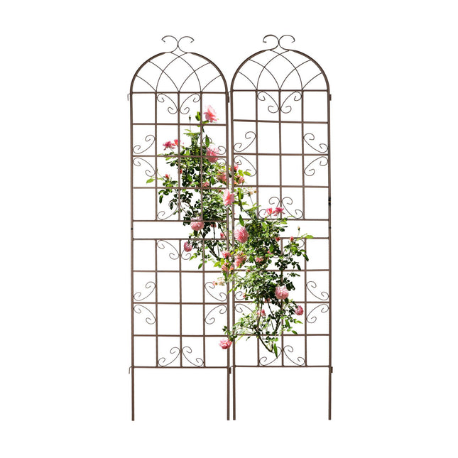 Trellis 220 cm set of 2 brown