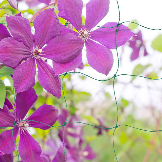 Trellis net 200 x 350 cm set of 4