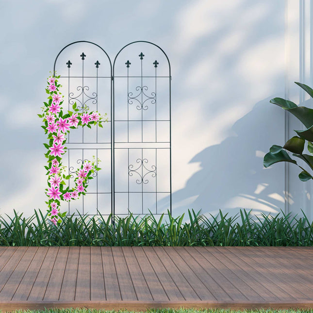 Trellis set of 2