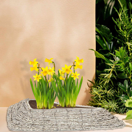 Triangular flower pot - set of 2