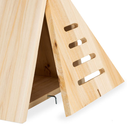 Triangular ladybug house