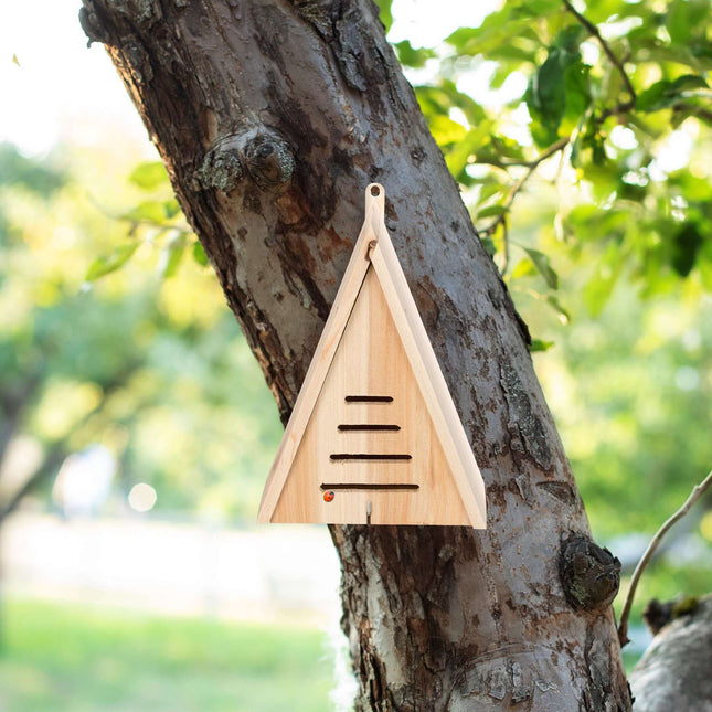 Triangular ladybug house
