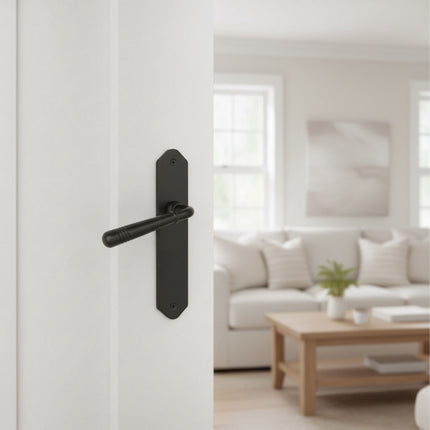 Vintage Black Door Handle Set with Long Backplate