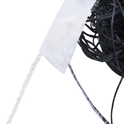 Volleyball net + bag
