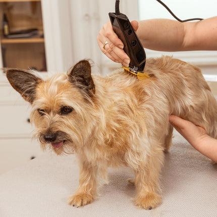 Wahl Multi-Cut Pet Clipper for Small and Medium Dogs, 7 Guide Combs, 7200 RPM