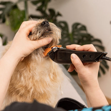 Wahl Multi-Cut Pet Clipper for Small and Medium Dogs, 7 Guide Combs, 7200 RPM