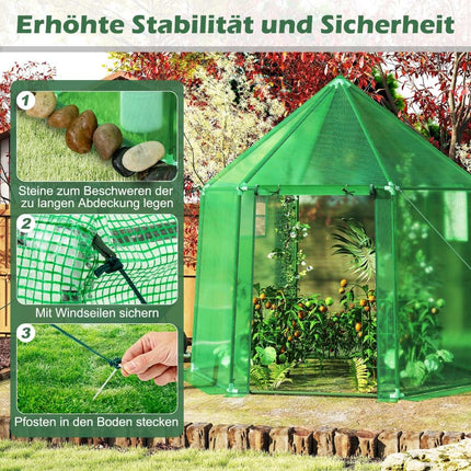 Walk-In Greenhouse with PE Cover, Roll-Up Door, Windows