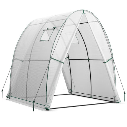 Walk-In Greenhouse with PE Cover & Roll-Up Doors, 181x181x200 cm