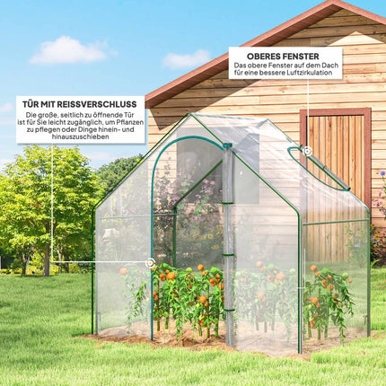 Walk-In Greenhouse with Window, Roll-Up Door, 180x100x168 cm