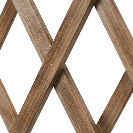 Wall-Mounted Extendable Spruce Plant Trellis, Set of 3