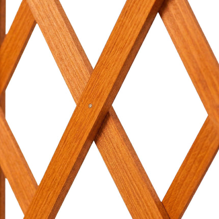 Wall-Mounted Extendable Trellis Set of 3 for Vines
