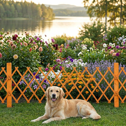 Wall-Mounted Extendable Trellis Set of 3 for Vines