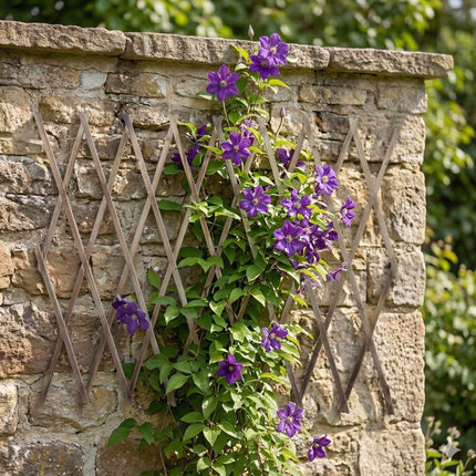 Wall-Mounted Plant Trellis, 3-Piece XXL Extendable