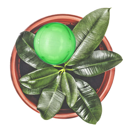 Water balloons - set of 4