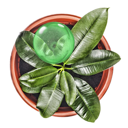 Watering balls - set of 5