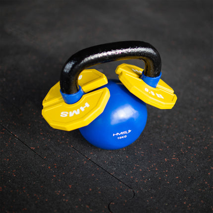 Weight Plate 2 x 0.5 kg for Strength Training