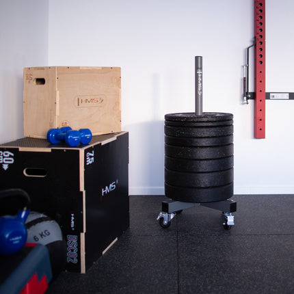 Weight Plate Rack, Commercial, Steel, Holds 32 Plates