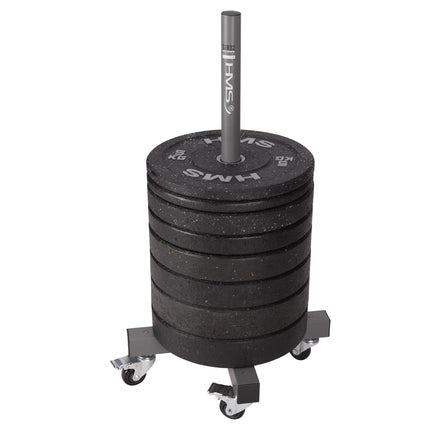 Weight Plate Rack, Commercial, Steel, Holds 32 Plates