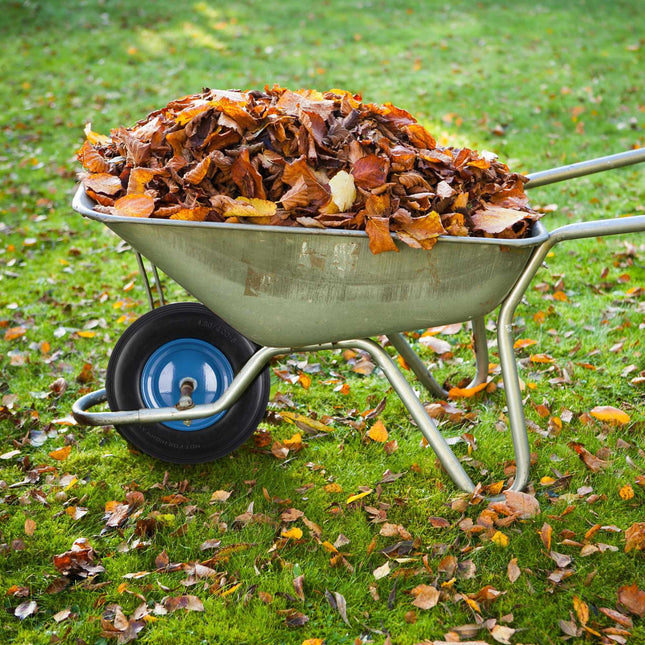 Wheelbarrow Wheel with Blue Rim & Axle