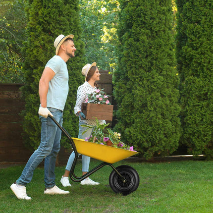 Wheel barrow set of 2 with hose