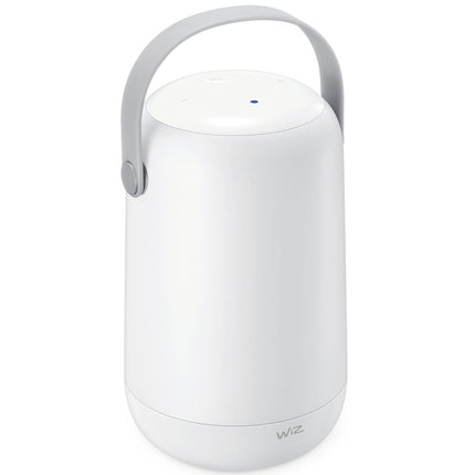 WiFi Portable lamp