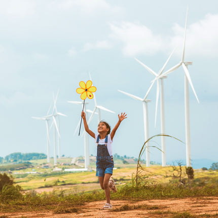 Wind spinner flower outdoors
