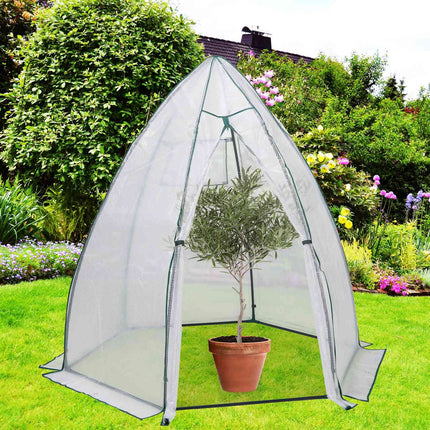 Wintering tent for plants