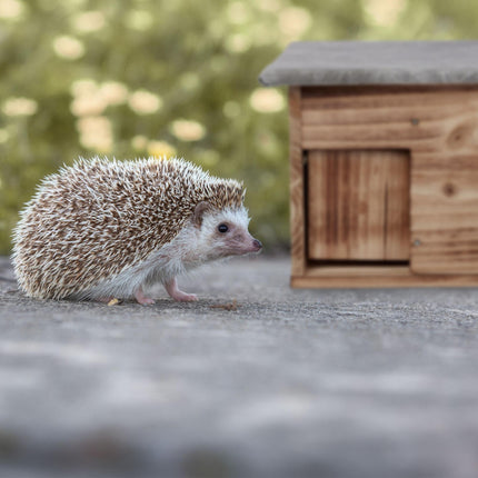 Winter-proof hedgehog house as a kit