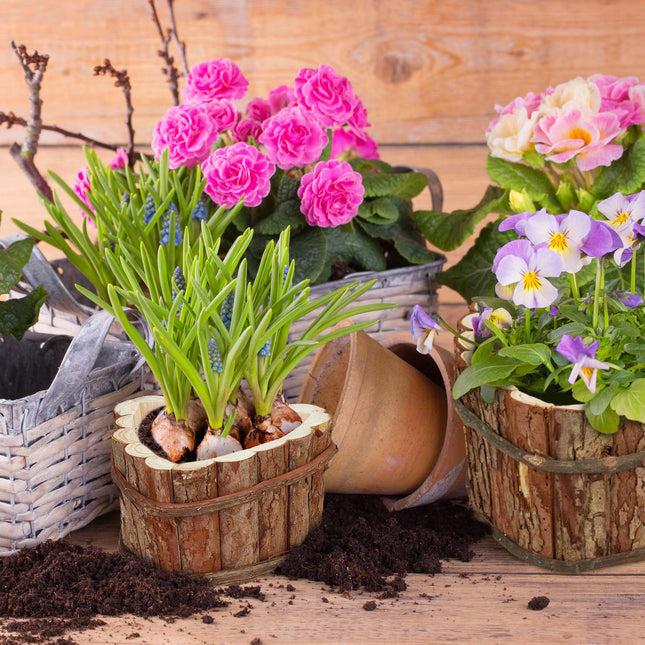 Wooden flower box - set of 3